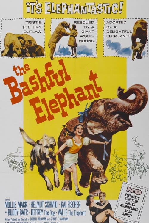 Постер до фільму «The Bashful Elephant»