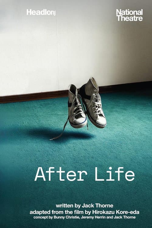 Постер до фільму «National Theatre Live: After Life»