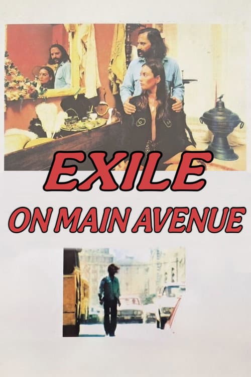 Poster for Exile on Main Avenue