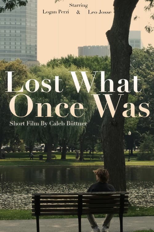 Poster for Lost What Once Was