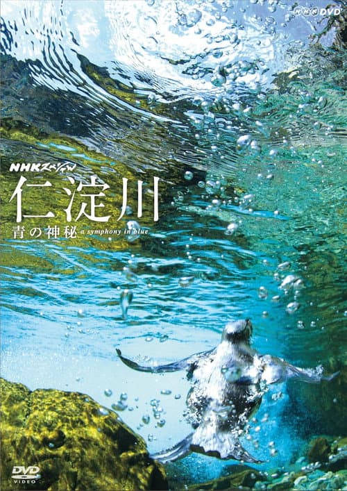 Poster for The Niyodo River: A Symphony in Blue