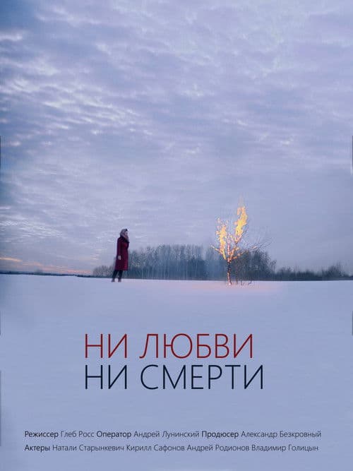 Poster for No Love No Death