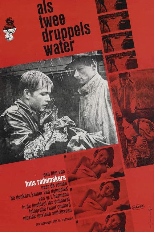 Poster for Like Two Drops of Water