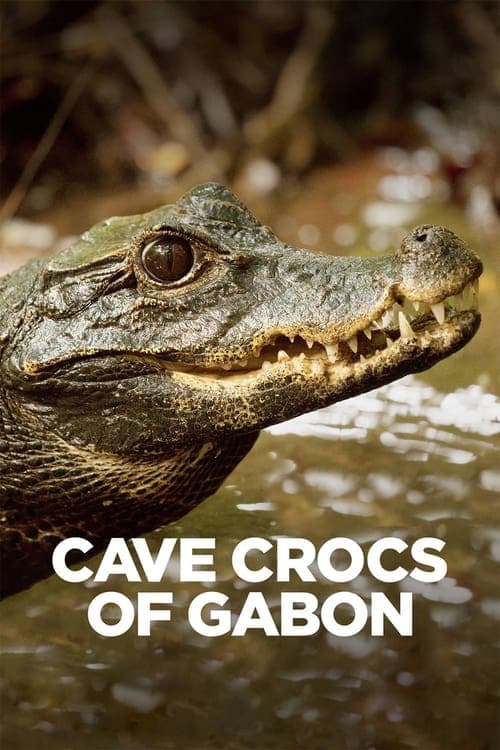 Poster for Cave Crocs of Gabon