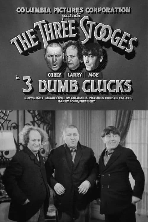 Poster for 3 Dumb Clucks