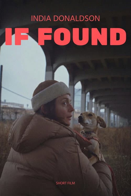 Poster for If Found