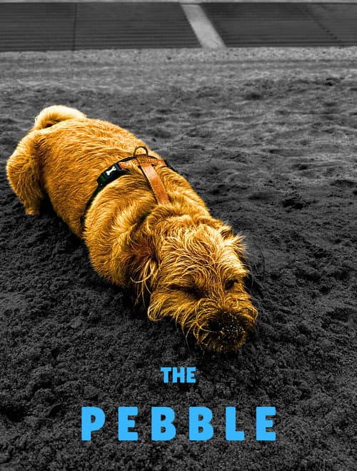 Poster for The Pebble