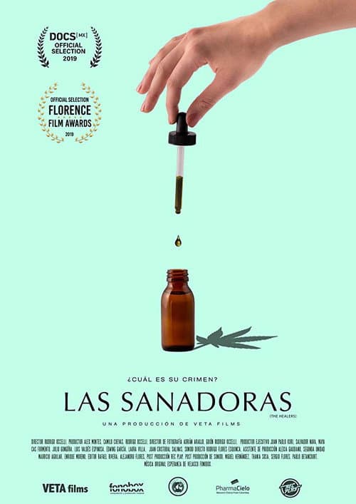 Poster for The Healers
