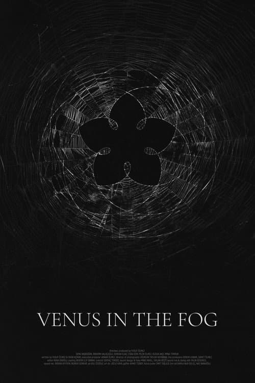 Poster for Venus in the Fog
