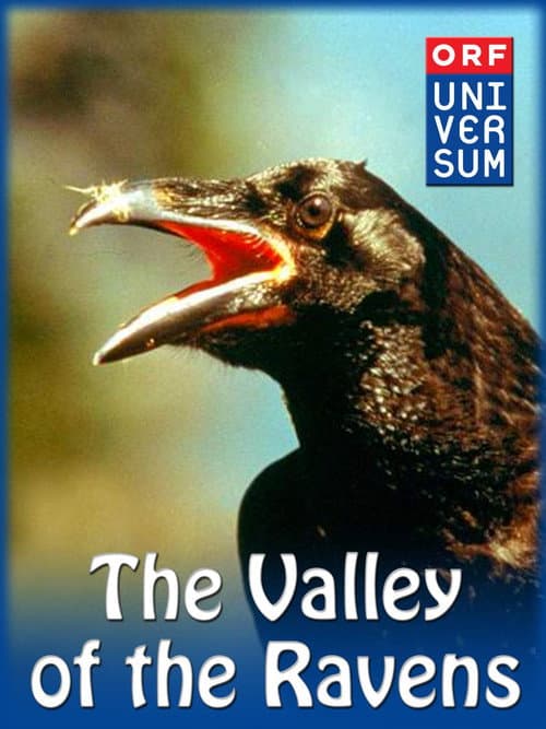 Poster for Valley of the Ravens