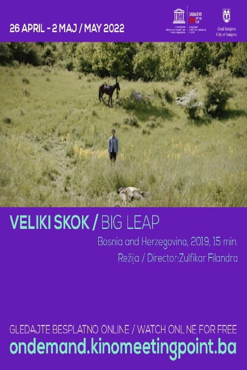 Poster for Big Leap
