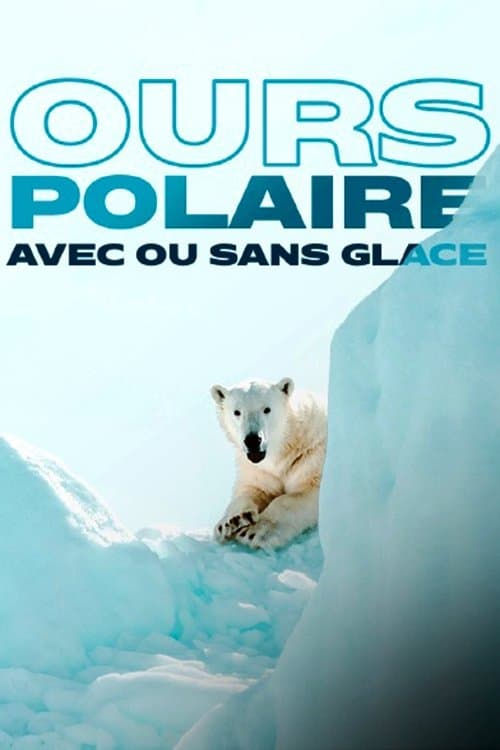 Poster for Face to Face with the Polar Bear