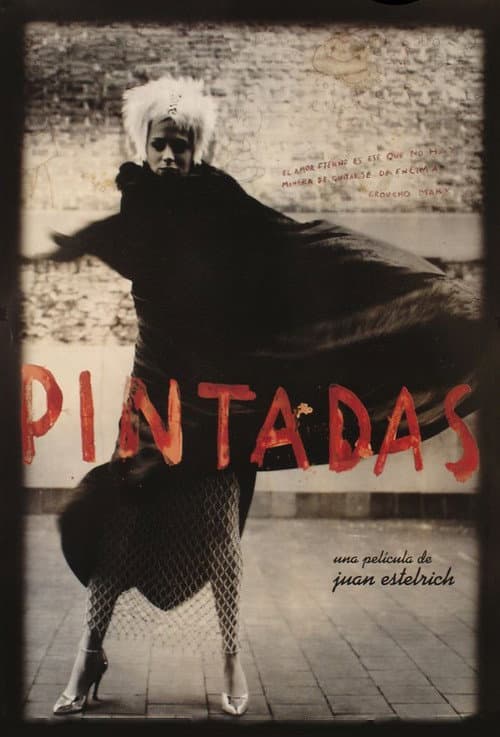 Poster for Pintadas