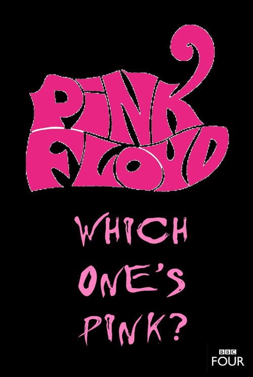 Poster for The Pink Floyd Story: Which One's Pink?