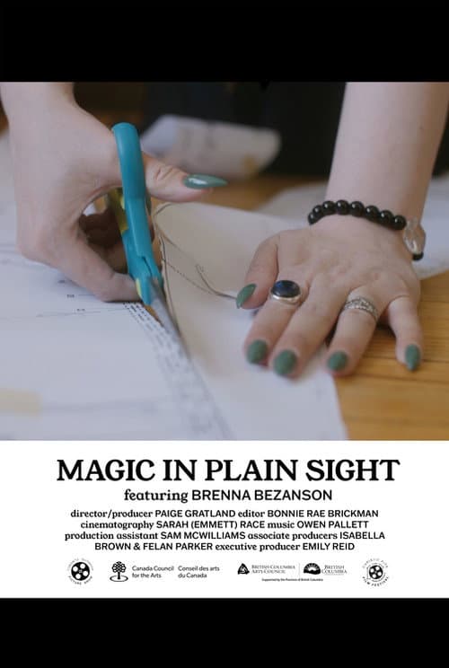 Poster for Magic in Plain Sight