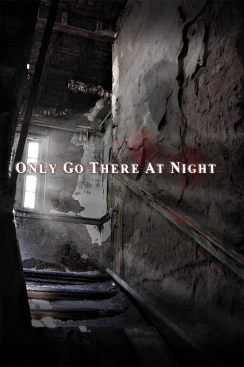 Poster for Only Go There At Night
