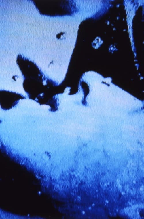 Poster for Self-Portrait in 23 Rounds: a Chapter in David Wojnarowicz’s Life, 1989–1991