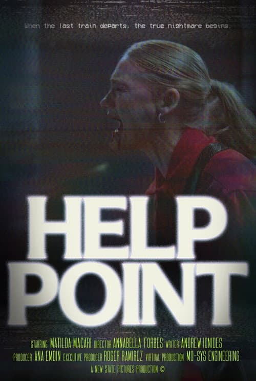 Poster for Help Point
