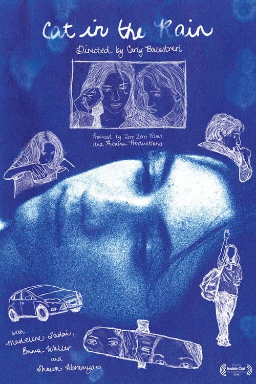 Poster for Cat in the Rain