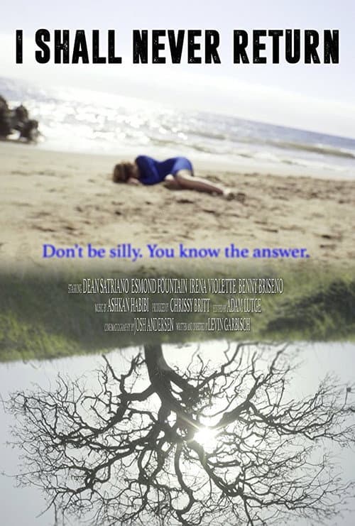 Poster for I Shall Never Return