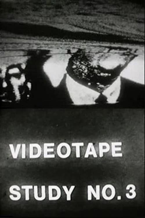 Poster for Videotape Study No. 3