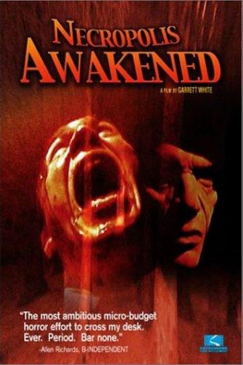 Poster for Necropolis Awakened