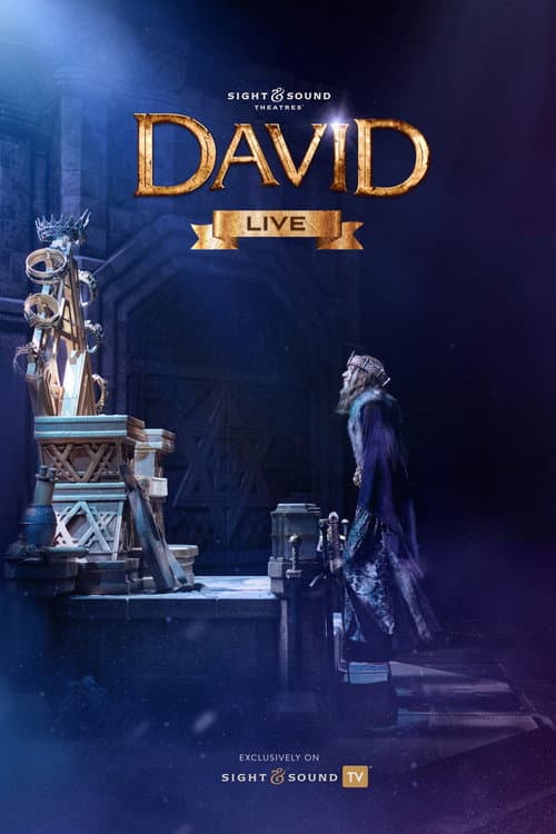 Poster for David