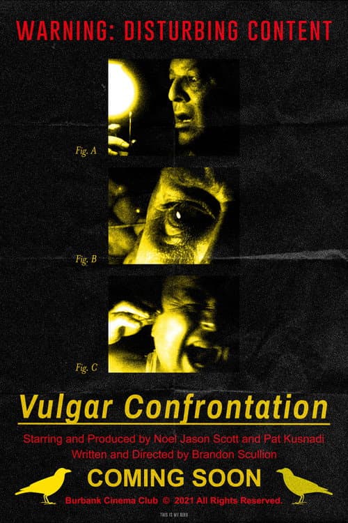 Poster for Vulgar Confrontation
