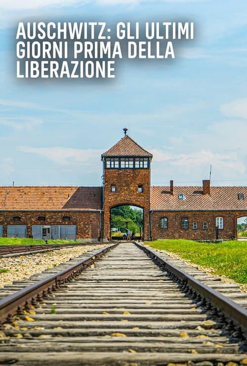 Poster for Auschwitz: Countdown to Liberation