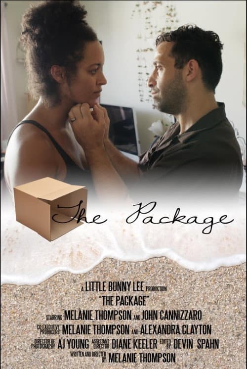 Poster for The Package