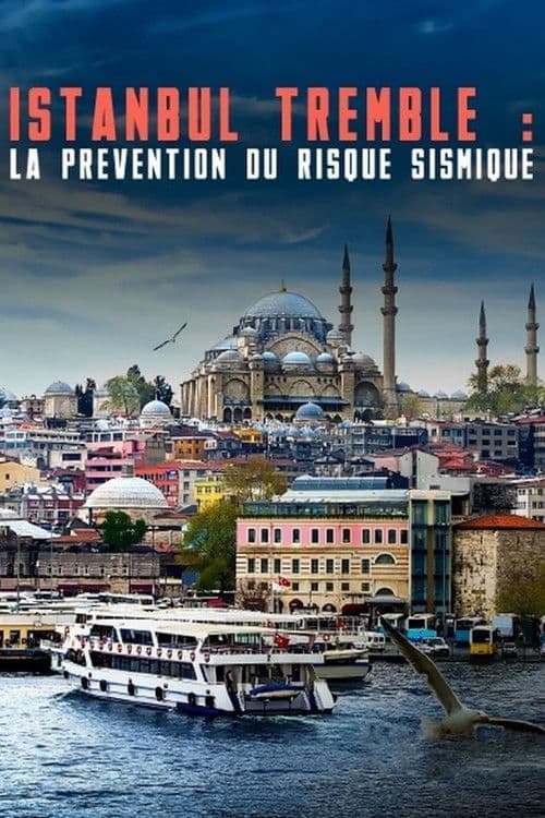 Poster for Istanbul tremble : La prévention du risque sismique