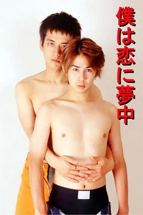 Poster for The Color of My Heart