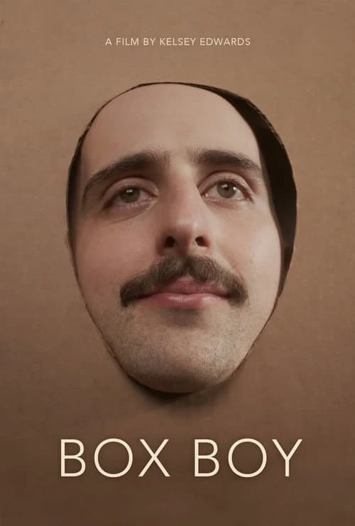Poster for Box Boy