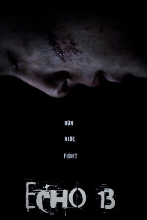 Poster for Echo 13