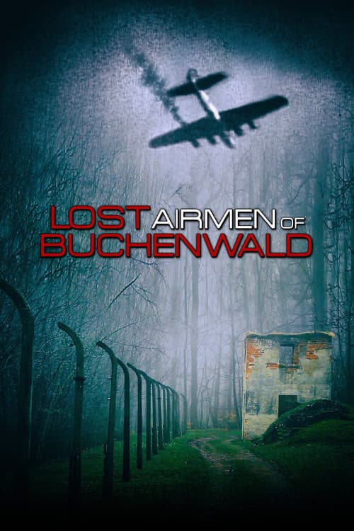 Poster for Lost Airmen of Buchenwald