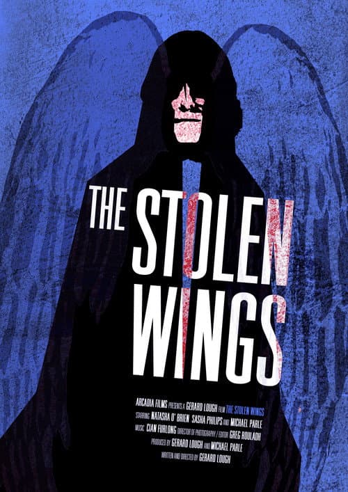 Poster for The Stolen Wings