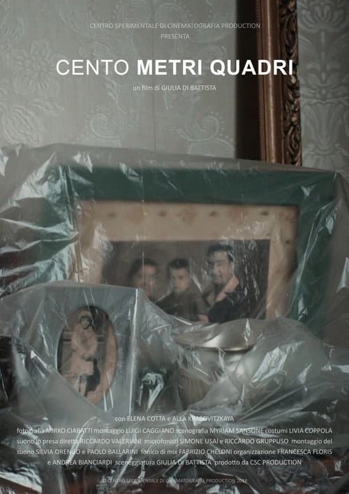 Poster for One Hundred Square Meters
