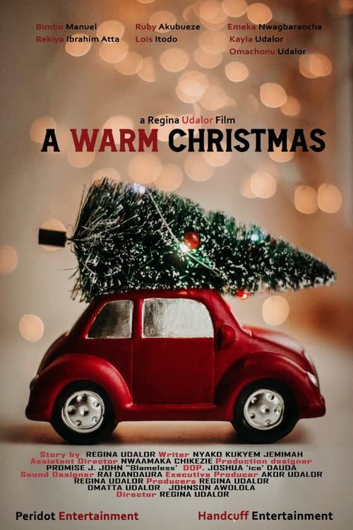 Poster for A Warm Christmas