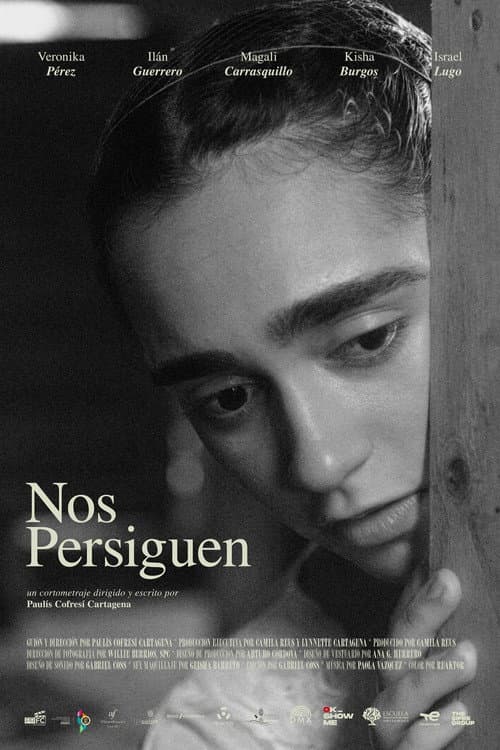 Poster for Nos persiguen