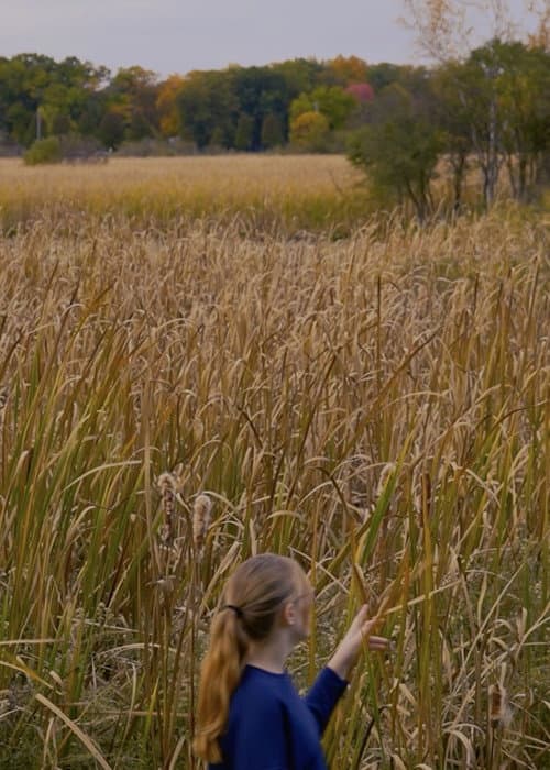 Poster for Wheat and Chaff