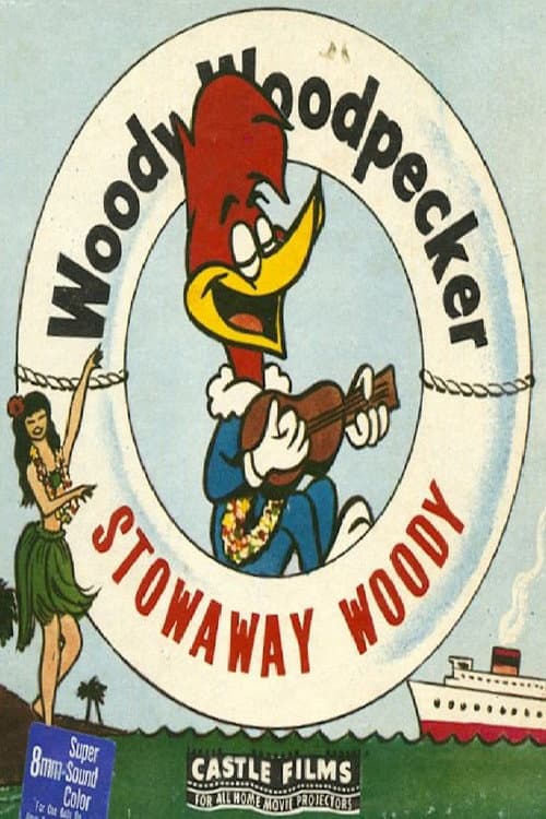 Poster for Stowaway Woody