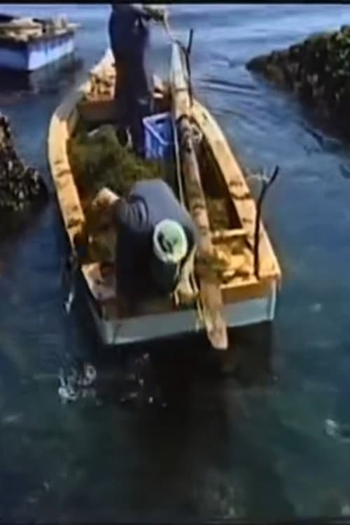 Poster for Fishing Moon