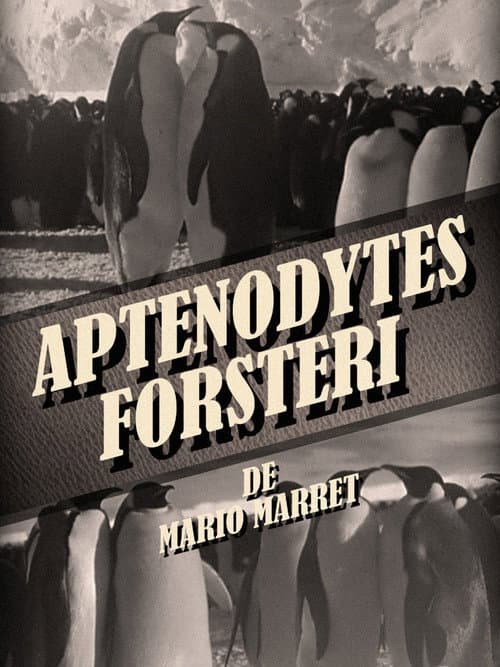 Poster for Aptenodytes Forsteri