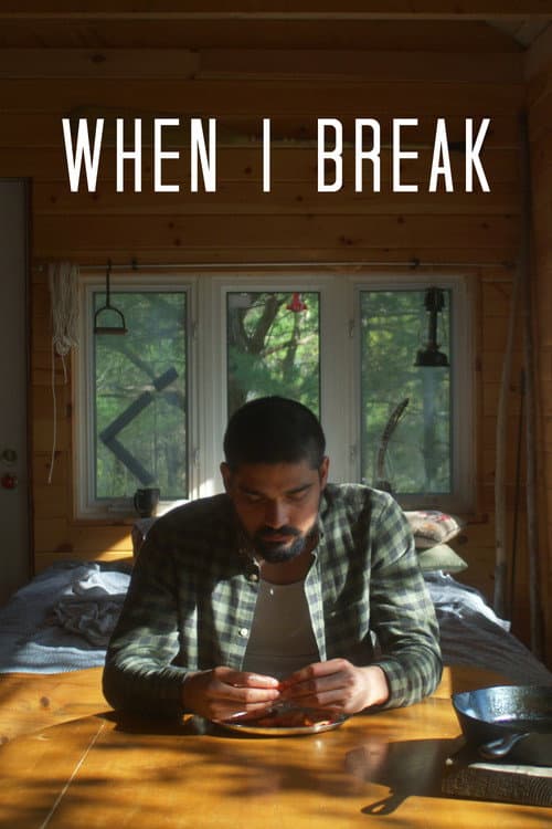 Poster for When I Break