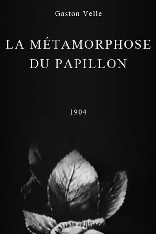 Poster for Metamorphosis of a Butterfly