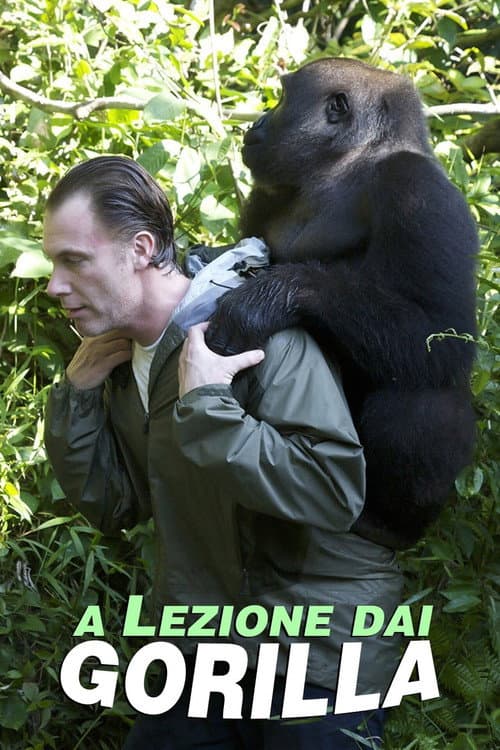 Poster for Gorilla School