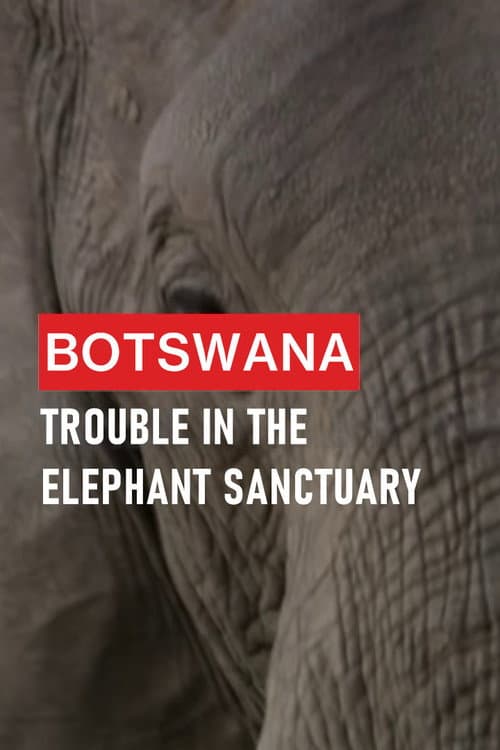 Poster for Botswana: Trouble in the Elephant Sanctuary
