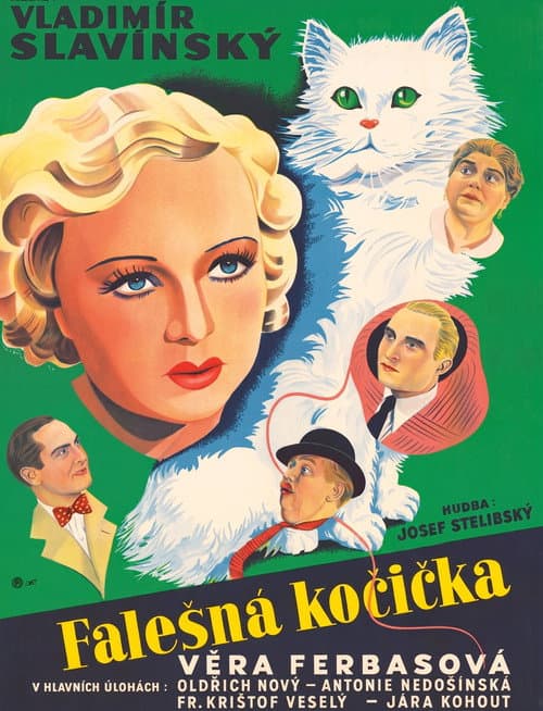 Poster for Falešná kočička