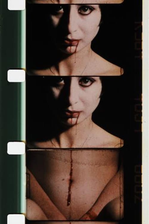 Poster for Double Labyrinthe