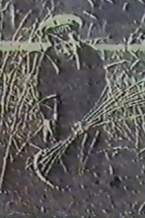 Poster for Angel of the Harvest